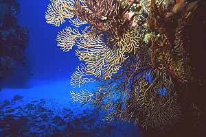 punta-sur-3.jpg (21890 bytes)