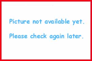 russian_corner.jpg (15317 bytes)